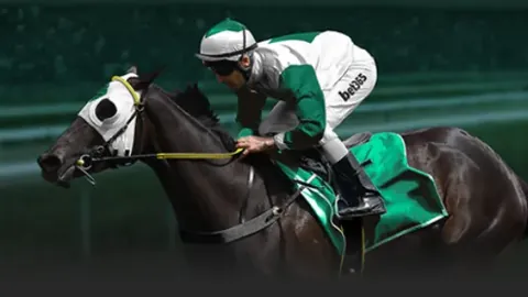 巴塞罗那推出球迷徒步活动，报名费用33至55欧元不等