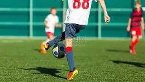 亚奥理事会官员对亚冬会筹备工作赞誉有加，央视新闻客户端报道